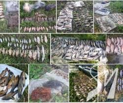 ������ ���� �� 89 000 ������� 